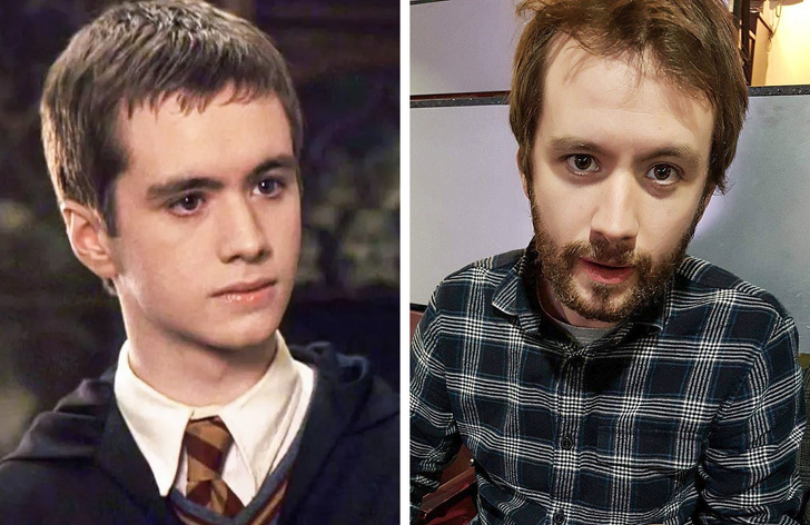 Illustration de l'article : Ces 12 acteurs transformés par la saga Harry Potter