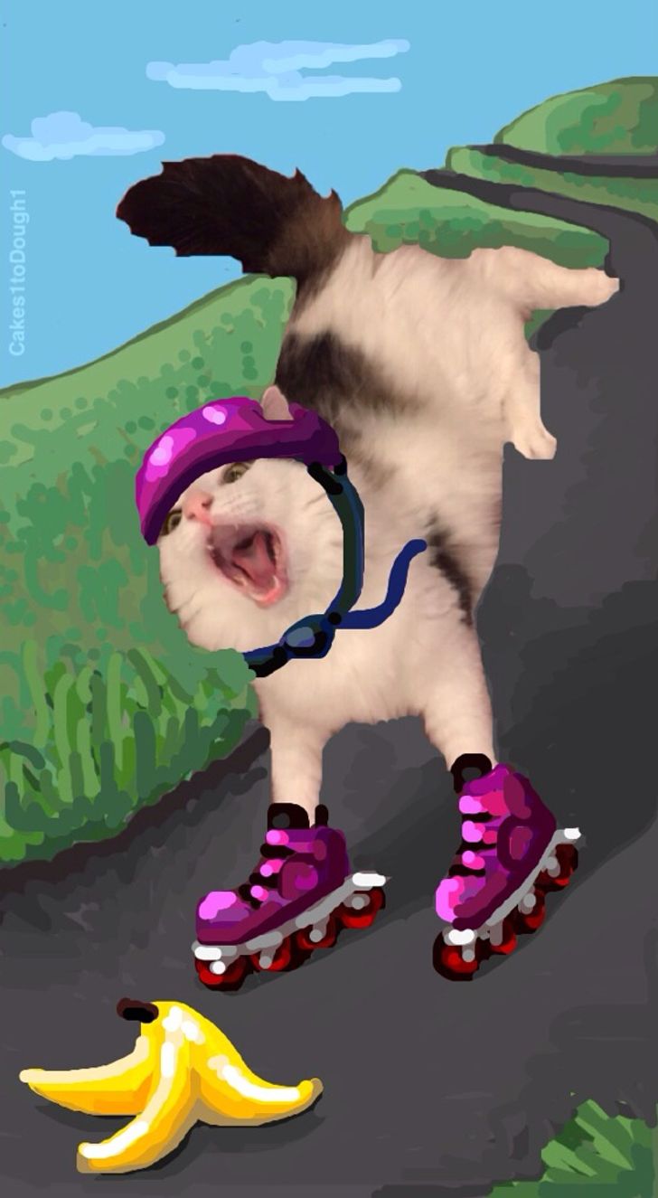 Illustration de l'article : Ces 20 personnes qui ne jurent que par l'humour