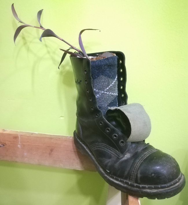 Illustration de l'article : Ces 22 façons de réinventer le monde en étant un génie en herbe