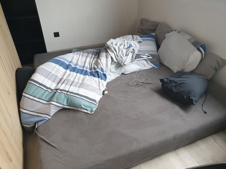 Illustration de l'article : Ces 19 photos illustrant les piètres talents des animaux de compagnie au jeu de cache-cache