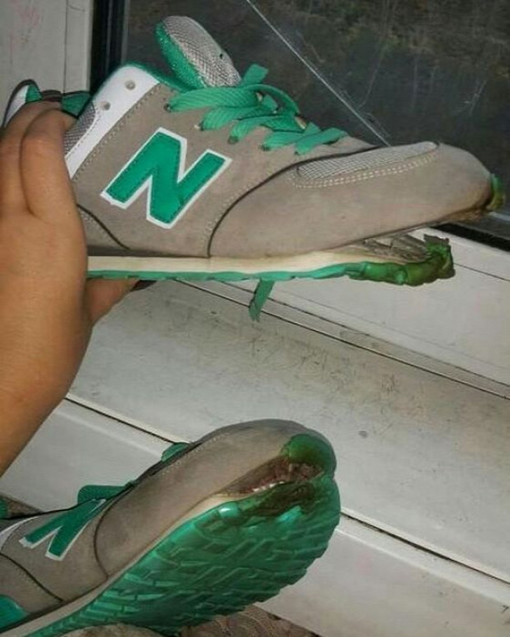 Illustration de l'article : Ces 24 journées que ces personnes voudraient recommencer