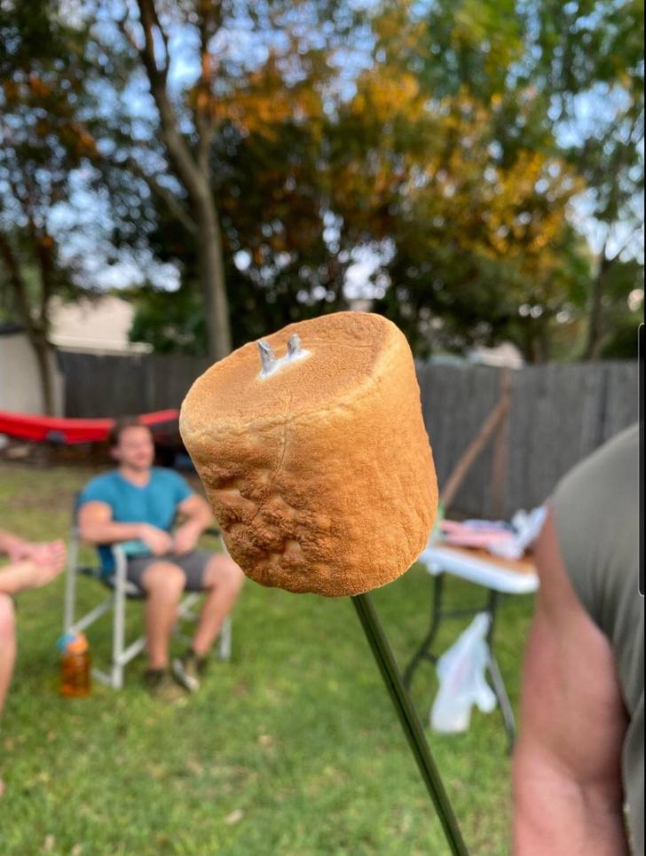 Illustration de l'article : Ces 15 photos qui illustrent bien la perfection