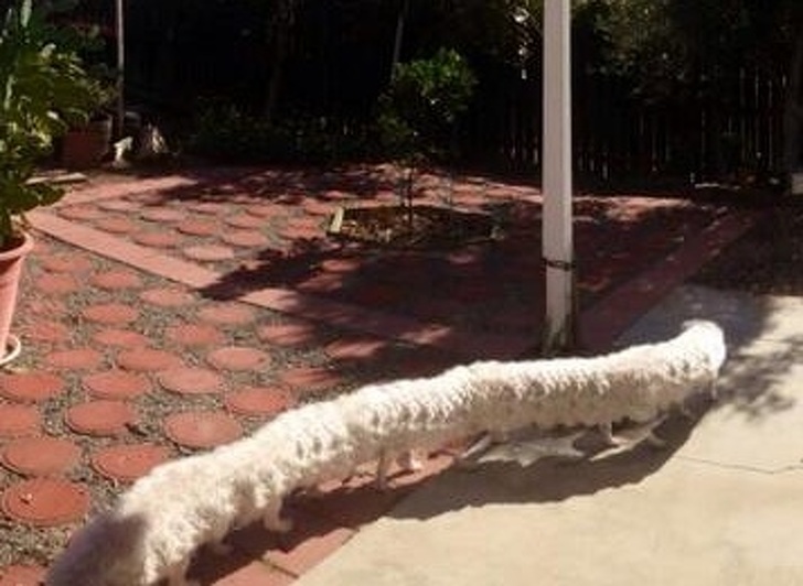 Illustration de l'article : Ces 23 photos prises en mode panoramas qui ont mal tourné