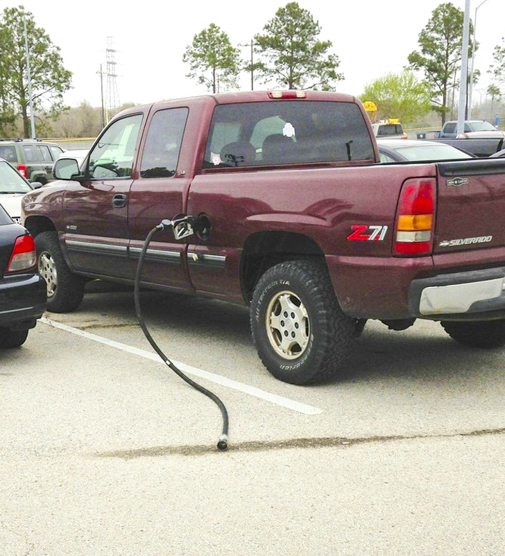 Illustration de l'article : Ces 14 personnes qui tentent d'apprendre la vie