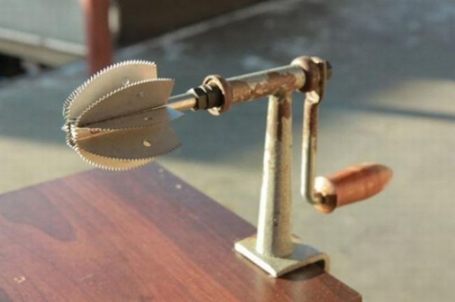 Illustration de l'article : 18 choses étranges que vous font découvrir les internautes