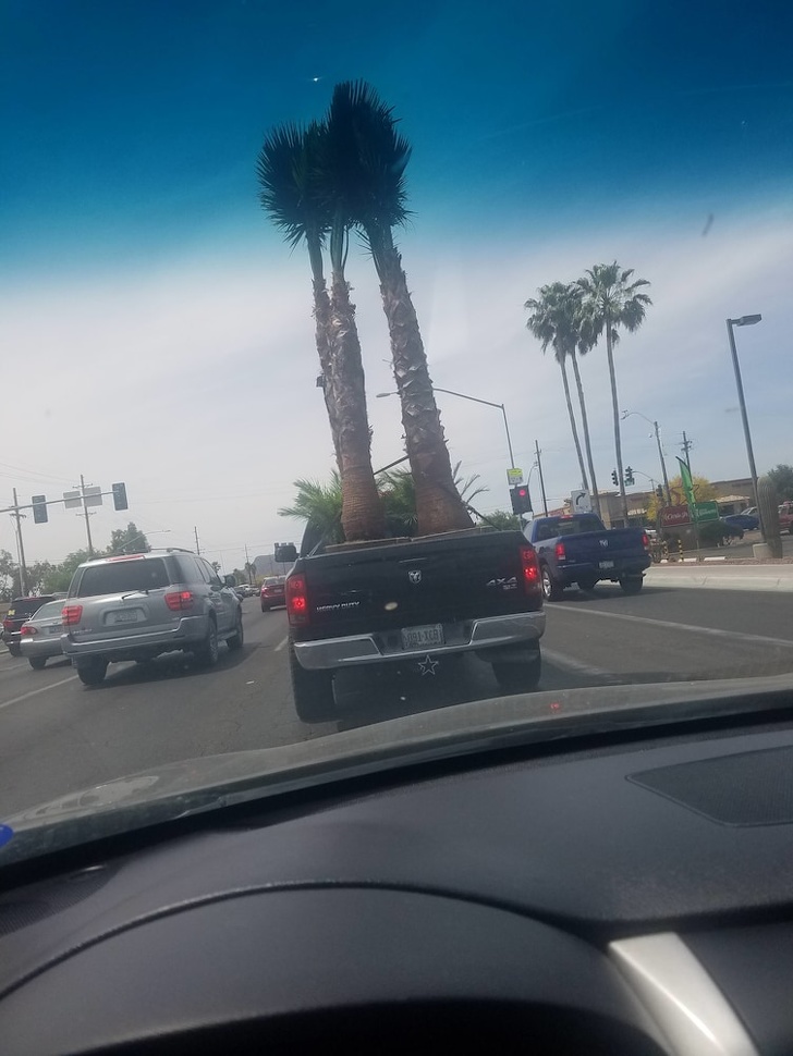 Illustration de l'article : Ces 21 photos de situations qui mettent mal à l'aise