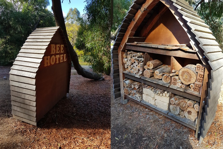 Illustration de l'article : Ces 22 choses curieuses observées et immortalisées par un appareil photo