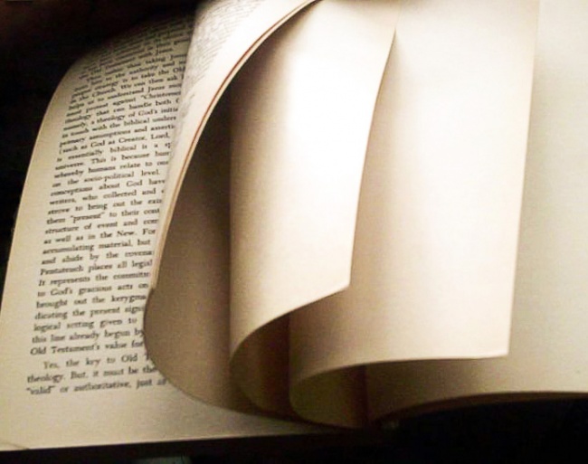 Illustration de l'article : 7 choses utilisées au quotidien qui vous cachent un véritable secret