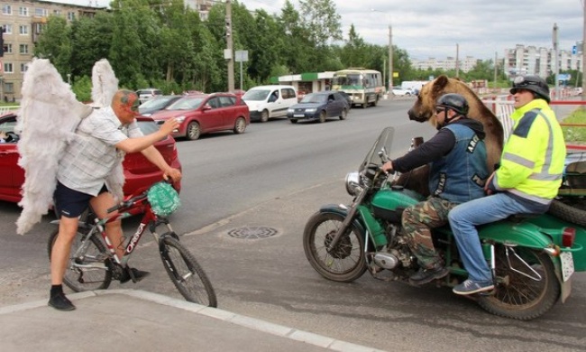 Illustration de l'article : 22 photos qui montrent que certaines personnes n'ont pas toute leur tête