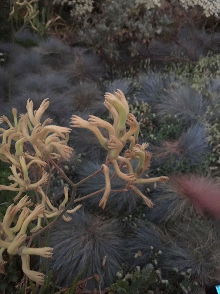 Illustration de l'article : Ces 20 photos illustrant quelques frayeurs de la nature