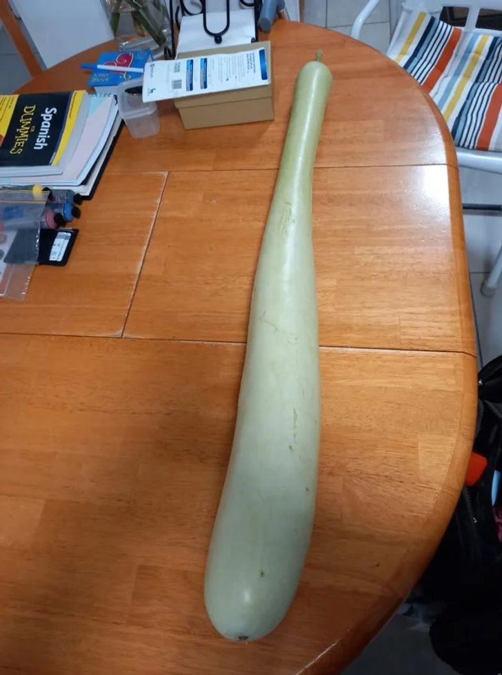 Illustration de l'article : Ces 20 photos illustrant les bonus que donne la nature &agrave; ses &eacute;l&eacute;ments