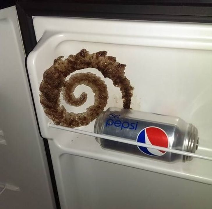 Illustration de l'article : Ces 18 situations comme on en rencontre rarement