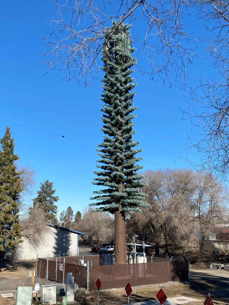 Illustration de l'article : Ces 15 créateurs qui méritent tous les honneurs