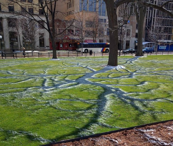 Illustration de l'article : Ces 20 photos qui montrent que la nature est bien faite