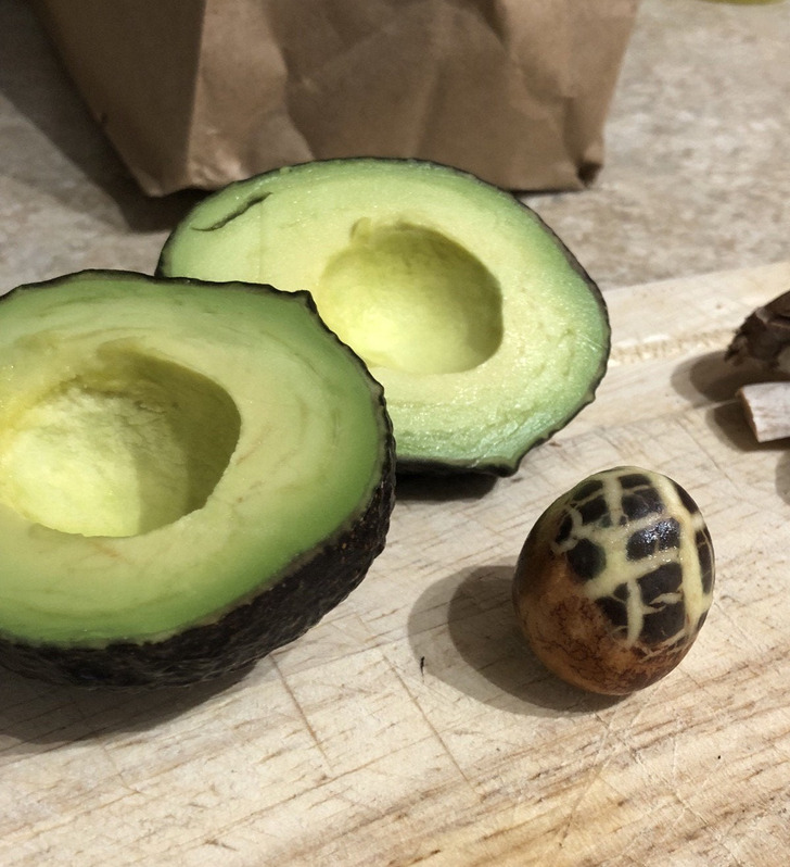 Illustration de l'article : Ces 20 photos qui illustrent des découvertes inattendues