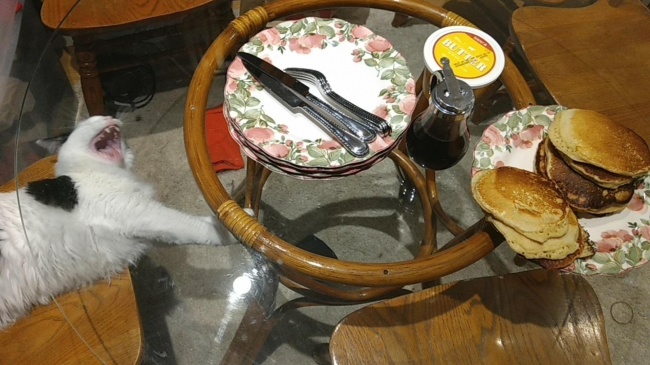 Illustration de l'article : 24 photos dont l’arrière-plan est bien plus drôle que l’action principale