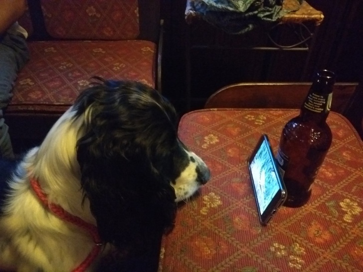 Illustration de l'article : Ces 14 photos qui rendent de bonne humeur