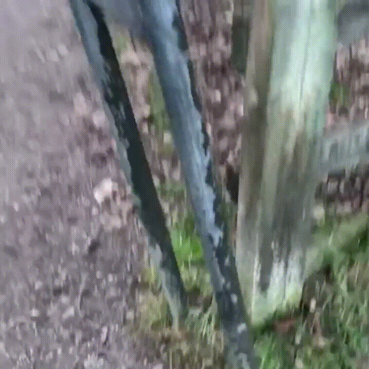 Illustration de l'article : Ces 15 photos attendrissantes qui respirent le bonheur