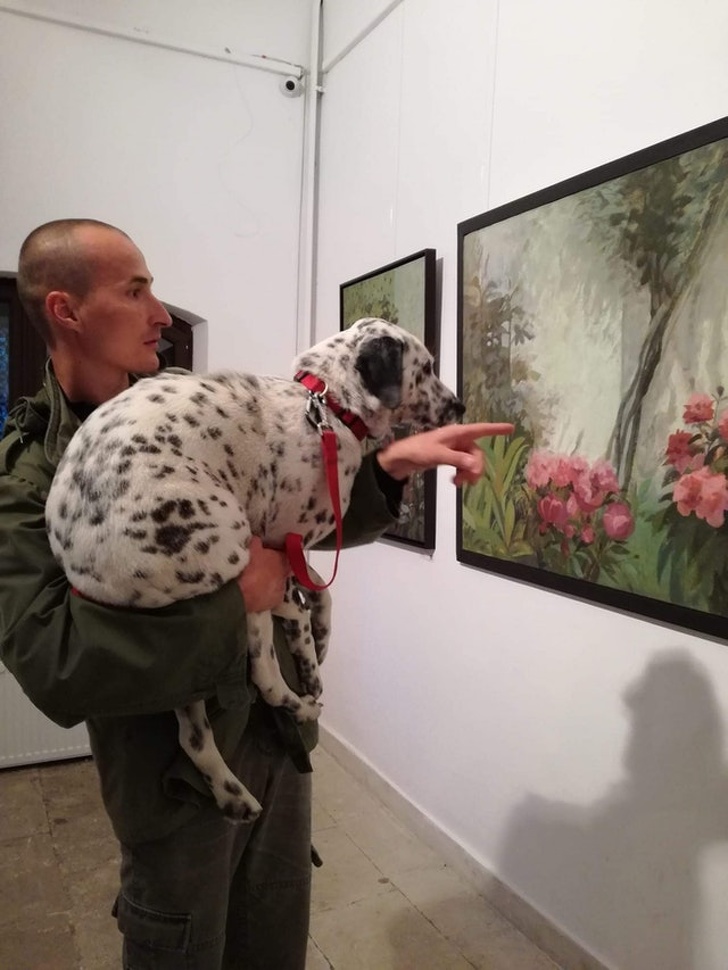 Illustration de l'article : Ces 18 fois où la vie s’est vengée de la pire des façons