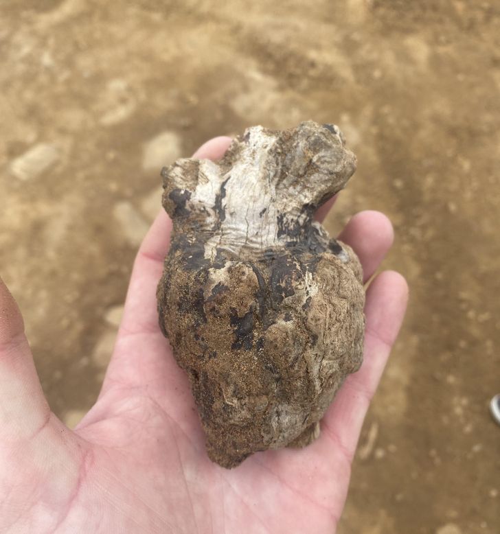 Illustration de l'article : Ces 20 photos illustrant les oeuvres insolites de la nature