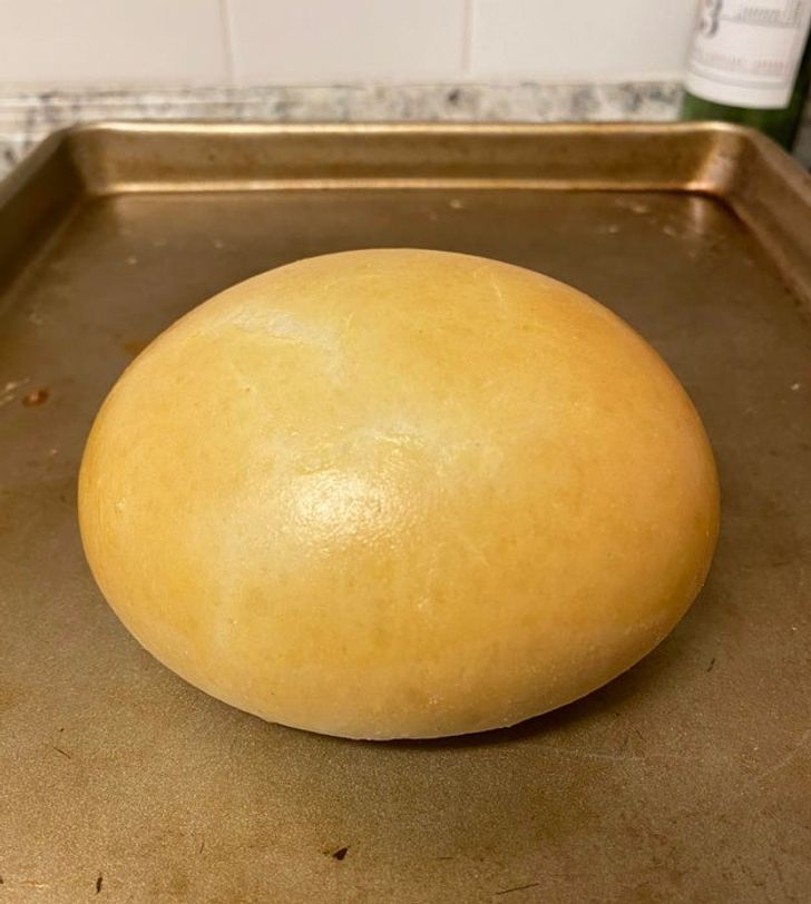 Illustration de l'article : Ces 15 photos qui raviront les perfectionnistes 