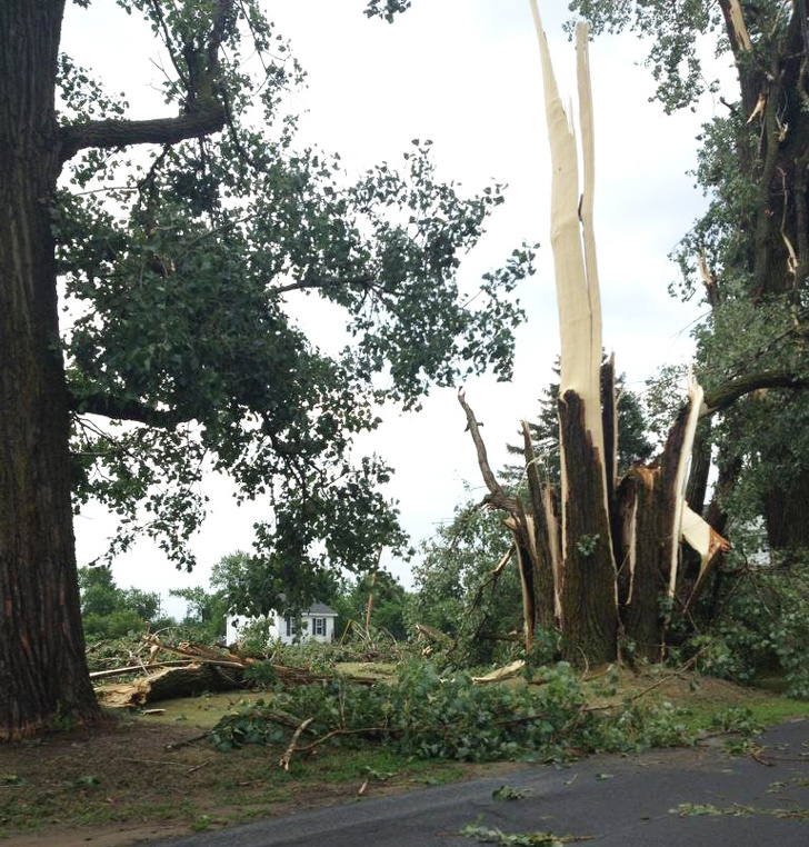 Illustration de l'article : Ces 29 photos curieuses qui révèlent le monde dans lequel nous vivons