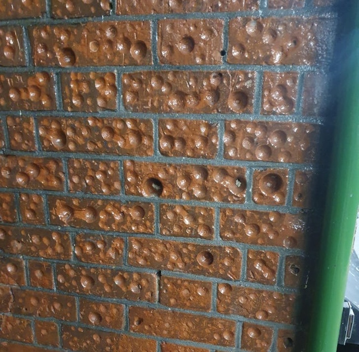 Illustration de l'article : Ces 17 choses dont l'utilisation intriguait leurs propriétaires