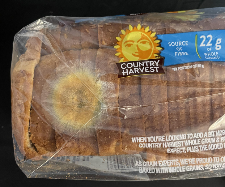 Illustration de l'article : Ces 17 photos qui montrent que Dame Nature a de l'humour