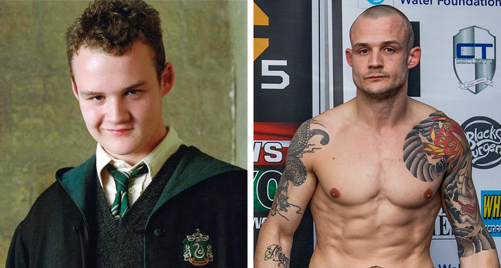 Illustration de l'article : Ces 12 acteurs transformés par la saga Harry Potter