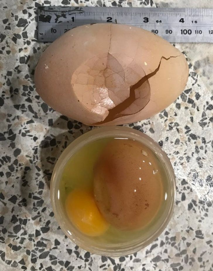 Illustration de l'article : Ces 20 photos de curiosités rencontrées par hasard