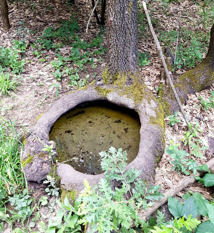 Illustration de l'article : Ces 20 phénomènes et situations liés au hasard de la vie