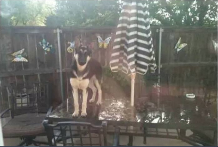 Illustration de l'article : Ces 19 personnes qui ne font rien comme tout le monde