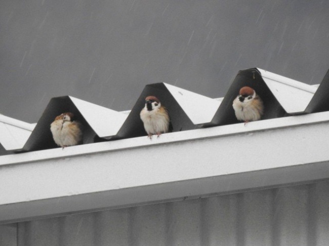 Illustration de l'article : Le hasard a bien fait les choses dans ces 25 situations