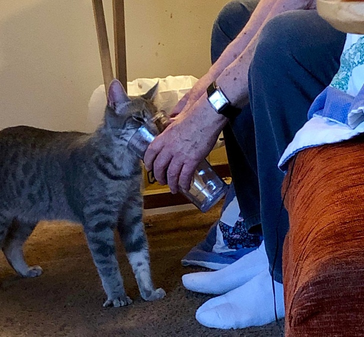 Illustration de l'article : Ces 17 photos qui montrent la générosité de l'être humain