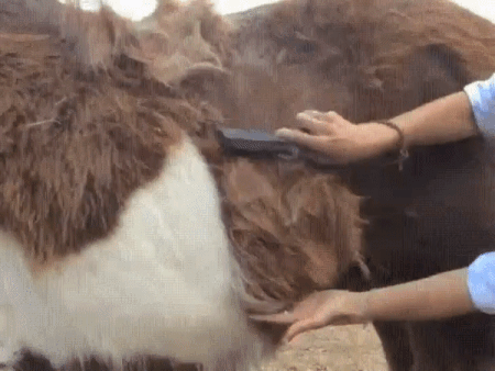 Illustration de l'article : Ces 24 curiosités prises en photos à travers le monde