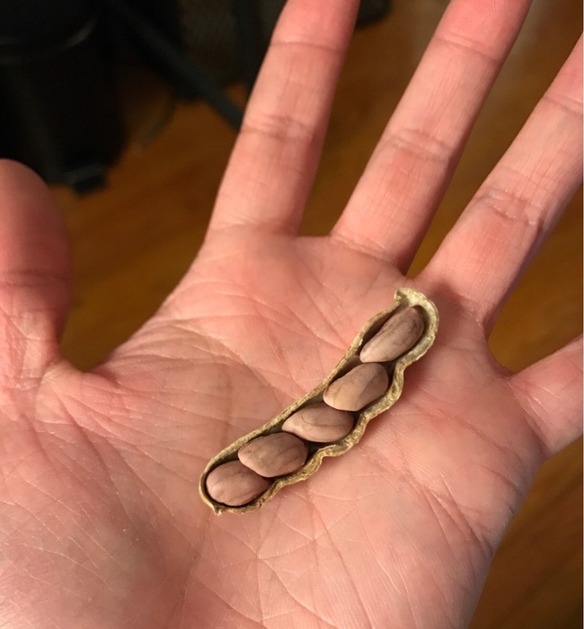 Illustration de l'article : La chance a décidé de sourire à ces 24 personnes