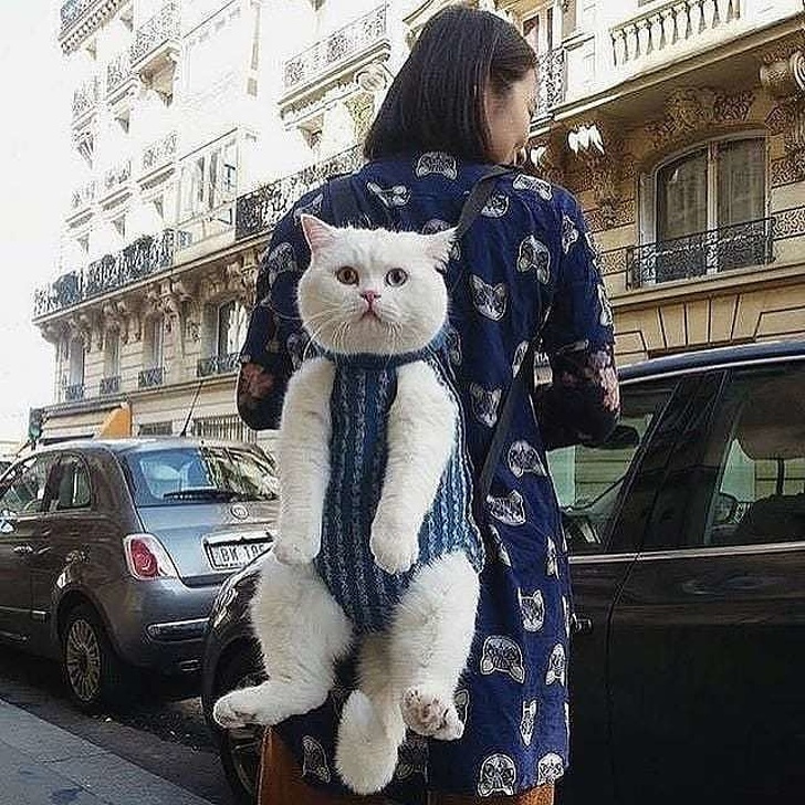 Illustration de l'article : Ces 13 photos qui montrent que l'on peut faire des découvertes tous les jours