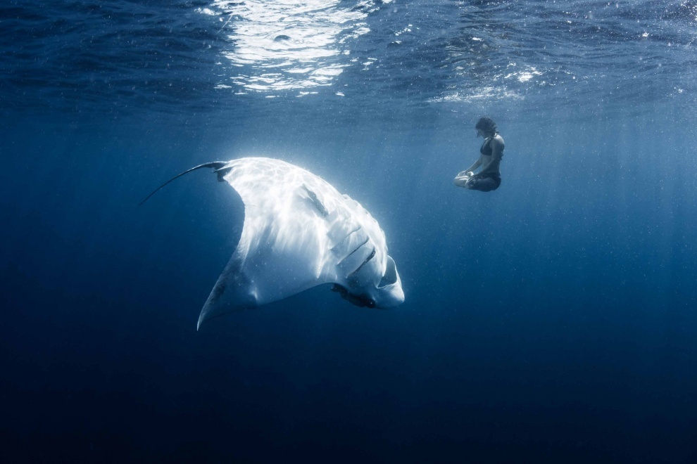 Illustration de l'article : 29 photos qui montrent qu’il est possible de réaliser un cliché parfait sans Photoshop