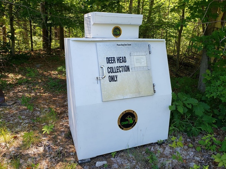 Illustration de l'article : Ces 17 situations étranges vécues dans le monde