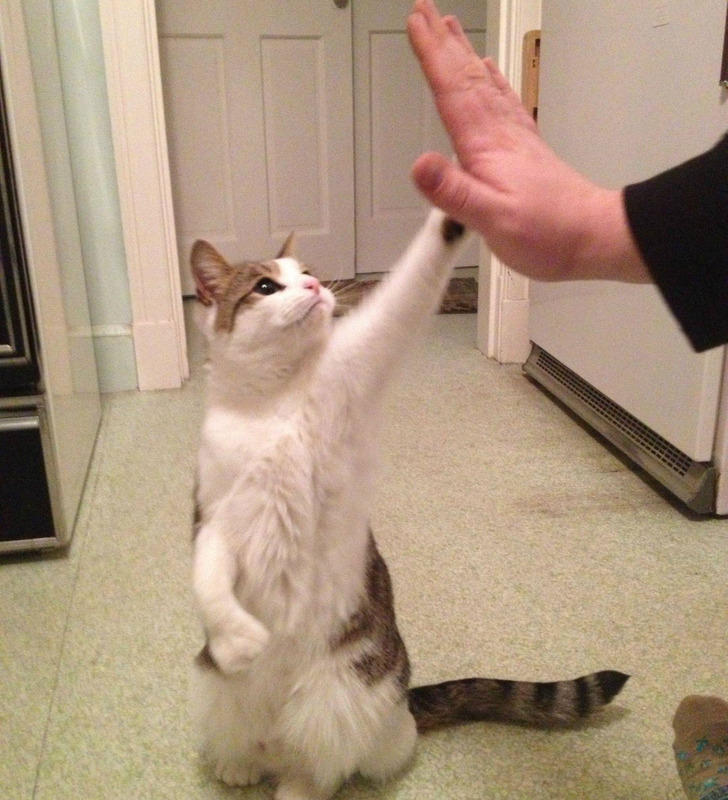 Illustration de l'article : Ces 20 personnes qui ont eu droit à leur jour de chance