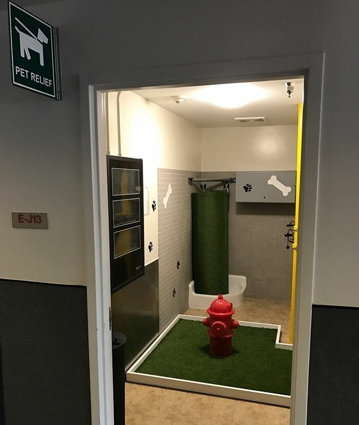 Illustration de l'article : Ces 25 idées qui facilitent la vie quotidienne