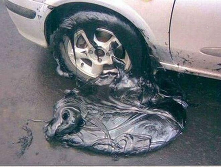 Illustration de l'article : Ces 23 photos prises pendant des situations loufoques