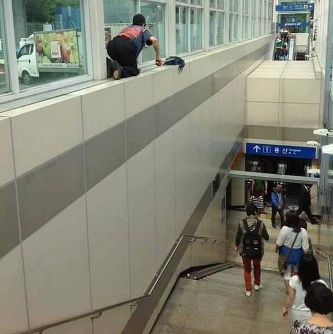 Illustration de l'article : Certains choix sont plus intelligents que d'autres, la preuve en 28 photos