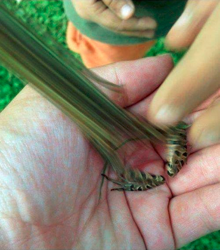 Illustration de l'article : Ces 19 photos capturées pile au bon moment