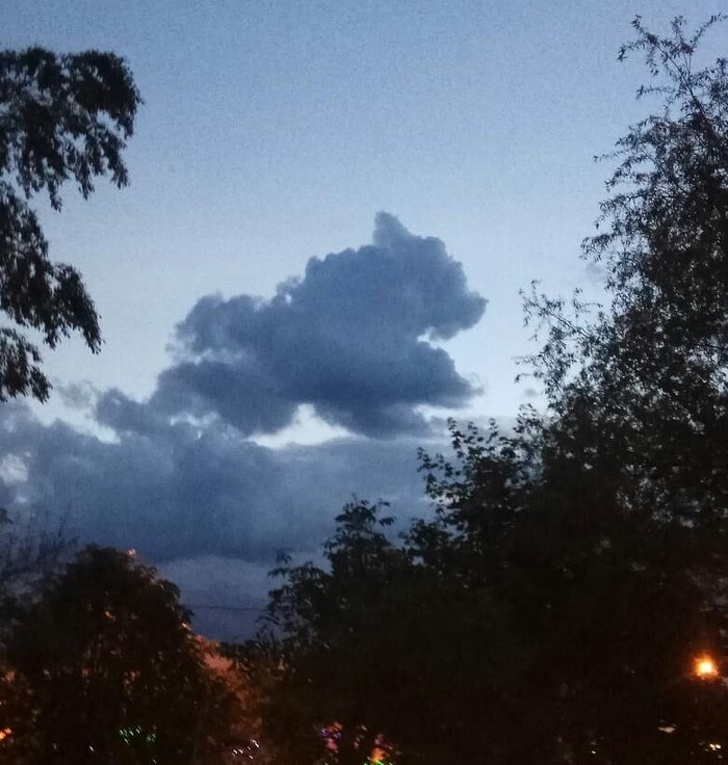 Illustration de l'article : Ces 17 photos où l'imagination fait voir autre chose