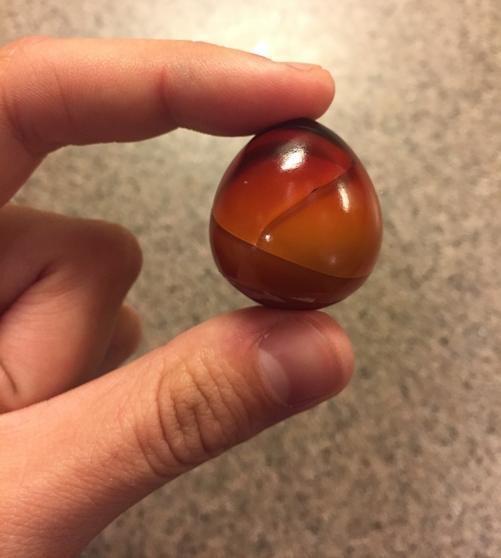 Illustration de l'article : Ces 16 photos qui montrent que notre monde est fascinant