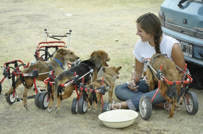 Illustration de l'article : 17 images qui vont titiller vos émotions