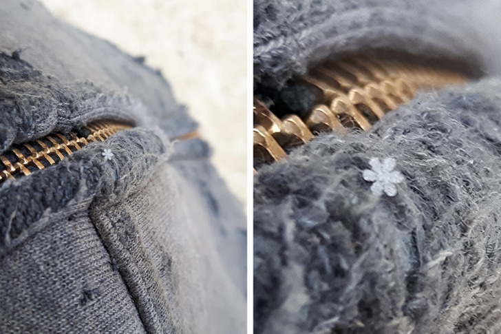 Illustration de l'article : Ces 20 photos qui illustrent les oeuvres de la nature en hiver