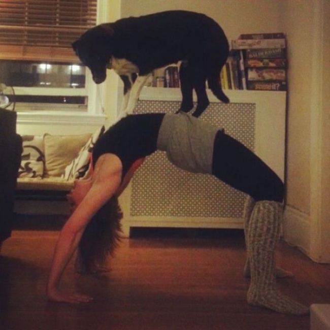 Illustration de l'article : 24 personnes ayant découvert des choses improbables dans leurs maisons