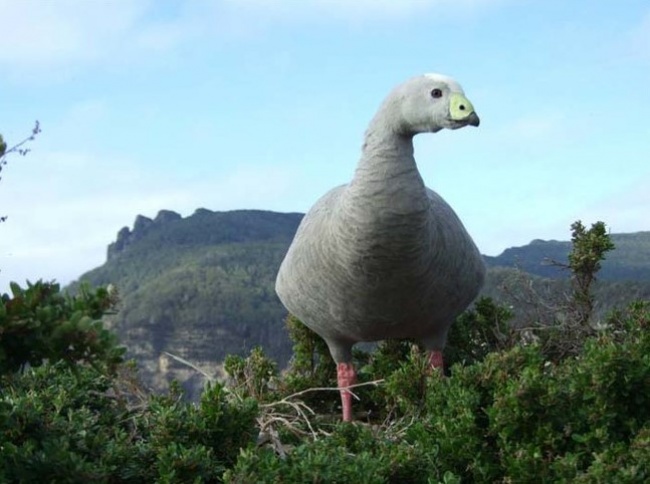 Illustration de l'article : Ces 25 photos trompent la vision grâce à l'angle de vue